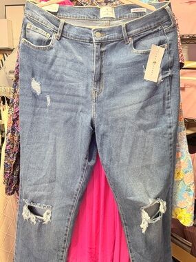 TRUE CRAFT NWT Plus-Size Distressed Blue Women’s Jeans - Casual Everyday Fit